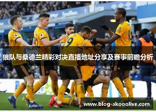 狼队与桑德兰精彩对决直播地址分享及赛事前瞻分析